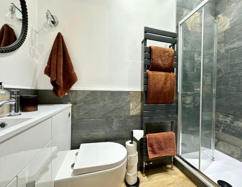 a bathroom with a toilet and a shower at The Annexe in Yeovil Junction