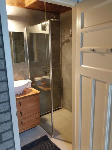 a bathroom with a shower and a sink at Gastenverblijf De Lopende Eend in Boxtel