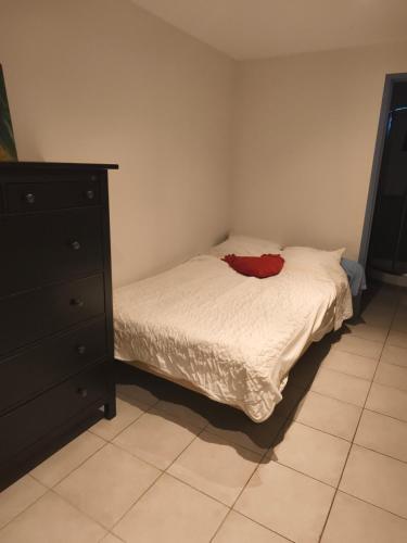 En eller flere senge i et værelse på agreable studio
