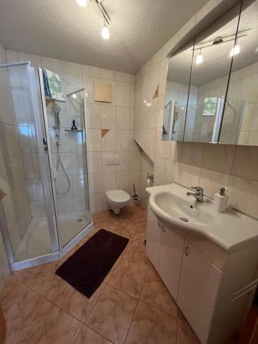 a bathroom with a shower and a sink and a toilet at Haus Alpenblick in Bichlbach