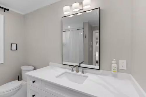 a bathroom with a sink and a mirror and a toilet at charming riverside retreat in Huntsville