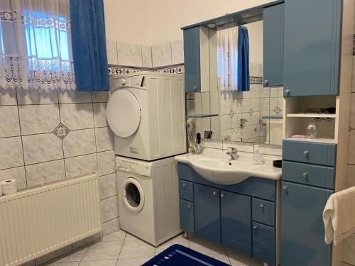 a bathroom with a washing machine and a sink at Villa Lana in Bihać