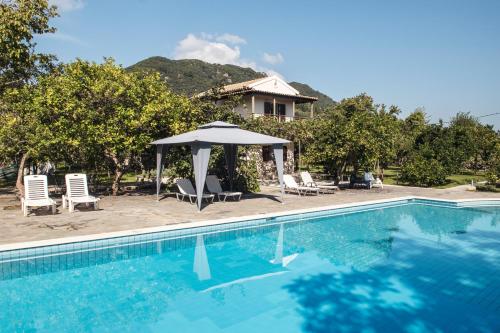 Бассейн в Orange Grove Suites или поблизости