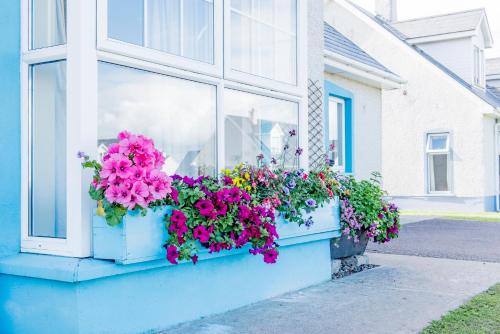 a window box filled with flowers in front of a building at Portbeg Holiday Homes at Donegal Bay in Bundoran