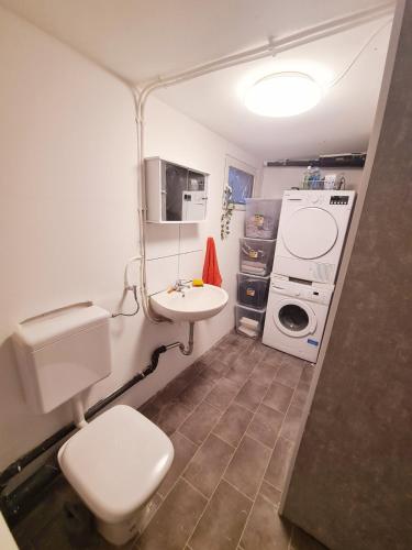a small bathroom with a sink and a toilet at Villa basement Apartment in Ennigerloh