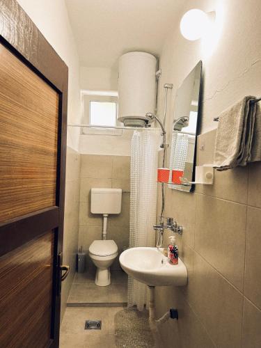 a small bathroom with a toilet and a sink at Blue Shell Apartments in Kotor
