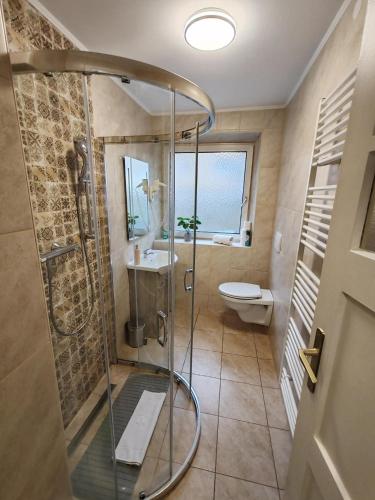 a bathroom with a shower and a toilet at Eisenerzer Apartmenthaus in Eisenerz