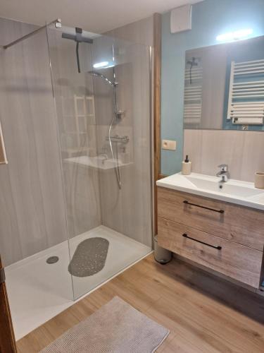 a bathroom with a shower and a sink at Chez Théo in Trois-Ponts