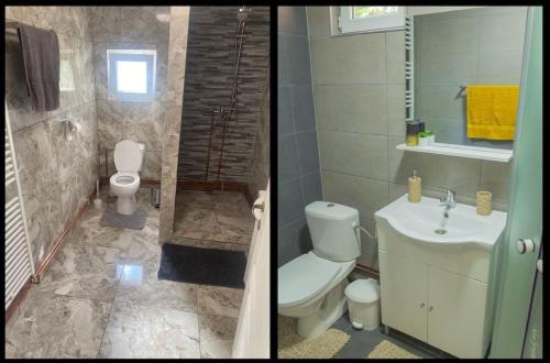 two pictures of a bathroom with a toilet and a sink at Apartament Amis tip Cabana in Poeni