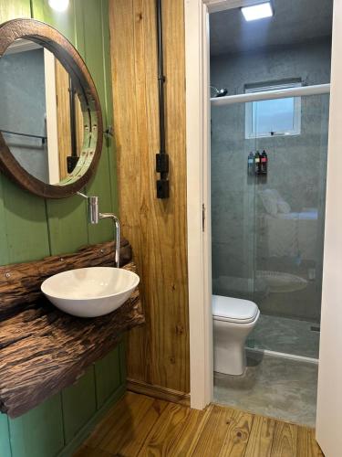 a bathroom with a sink and a toilet and a mirror at Espaço Áurea 60km de Curitiba com Cesta de Café da manhã in Campina Grande do Sul