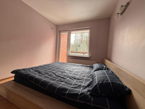a bed in a room with a window at Līgatne Forest View Apartament in Skalupji