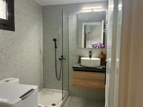 a bathroom with a shower and a toilet and a sink at Karadinos Apartment in Stílos