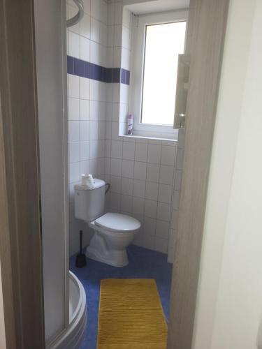 a bathroom with a white toilet and a window at Komárov Apartment 2 in Komárov