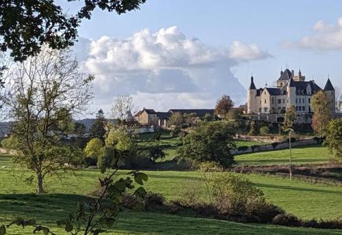 a large castle in a field of green grass at auberge de louroux in Louroux-de-Bouble