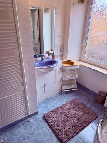 a bathroom with a sink and a mirror at Le Cosy Home in Guebwiller