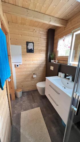 a bathroom with a toilet and a sink at Haeuslein-Waldesruh in Muldenberg