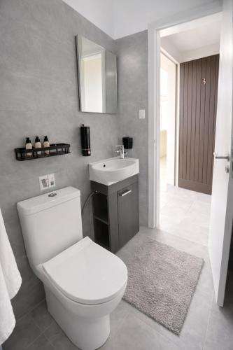 a bathroom with a white toilet and a sink at Ameli Studio ,Balcony with Mountain View, Kitchenette, 1km to Beach by likeyourhome in Corfu