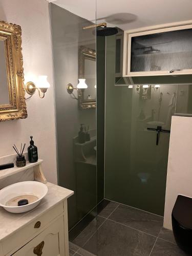 een badkamer met een douche en een wastafel bij Winding B&B Silkeborg in Silkeborg