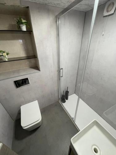 a bathroom with a shower and a toilet and a sink at Habitaciones privadas in Madrid
