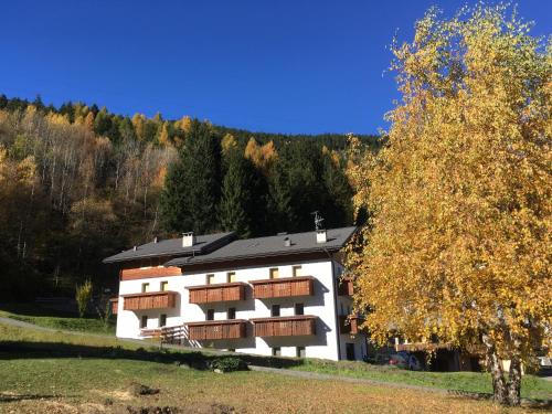 a white building with balconies and a tree at Chalet Del Bosco in Valdisotto