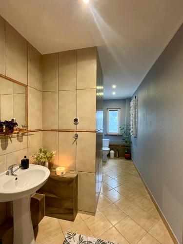 a bathroom with a sink and a toilet at Pod Modrzewiem in Pogorzelce