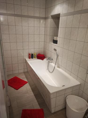 a bathroom with a white sink and a red rug at Apartment For You in Hameln