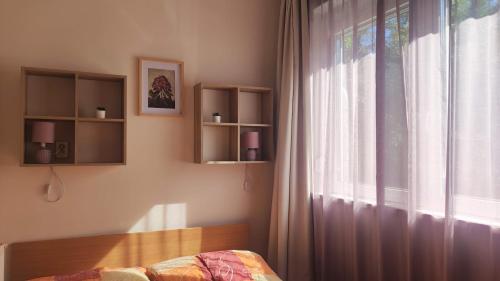 a bedroom with a bed and a window with curtains at Balaton Apartman in Balatonföldvár