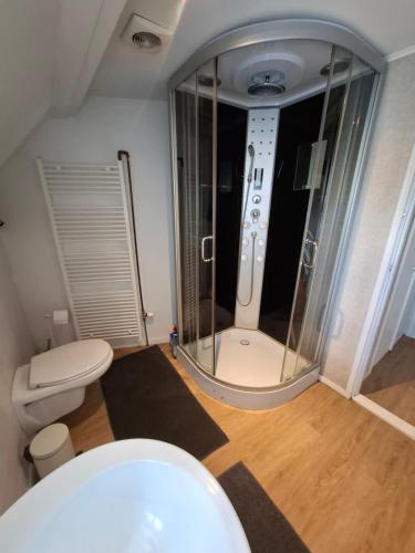 ein Badezimmer mit Dusche, Toilette und Waschbecken in der Unterkunft markt 1 in Biervliet