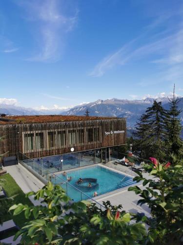 The Edelweiss - Cozy apartment in Anzère