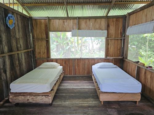two beds in a wooden room with two windows at Hostal Posada Turística El Bejuco in Leticia
