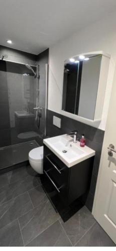 a bathroom with a sink and a toilet and a mirror at Studio My Home in Brig