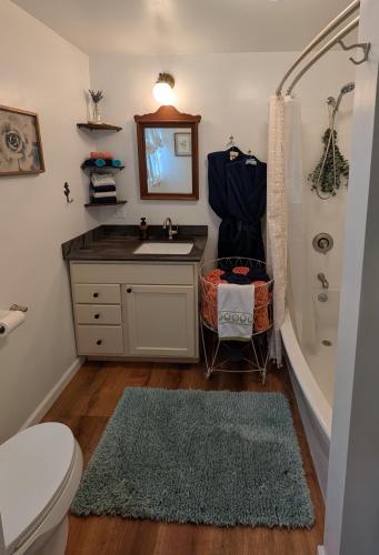 a bathroom with a sink and a toilet and a mirror at Sal's Beach Cottage Retreat in Fort Bragg