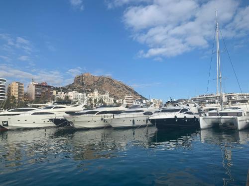 Alicante Centre Near Beach Wifi AC