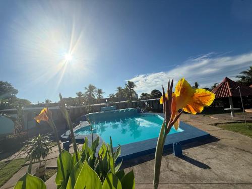 a swimming pool with a yellow flower in the foreground at Marvella Club in Nueva Gorgona