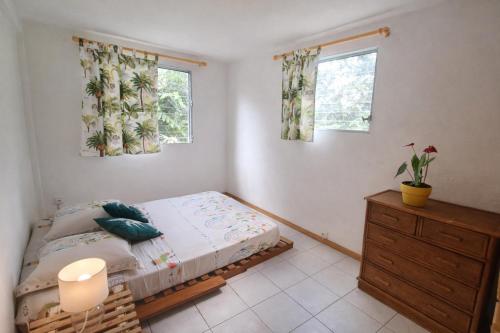 a bedroom with a bed and two windows at Studio Anthurium in Gros-Morne