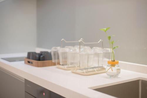 a white counter with a plant in a glass bottle at T and C 民宿 in Wujie