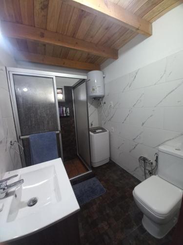 a bathroom with a toilet and a sink and a shower at Grazie Carpe in Jaureguiberry