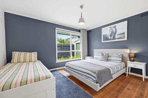 a bedroom with blue walls and a bed and a window at Dixon Delight in Inverloch