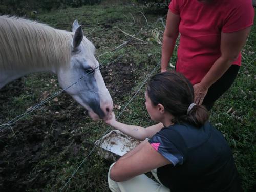 a woman is petting a white horse at Cabaña 3 venado in Venado