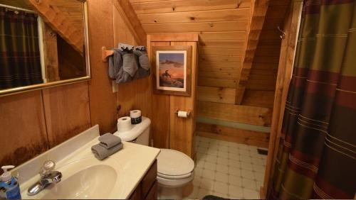 a bathroom with a toilet and a sink in a cabin at Dreamcatcher Hideaway in Pigeon Forge