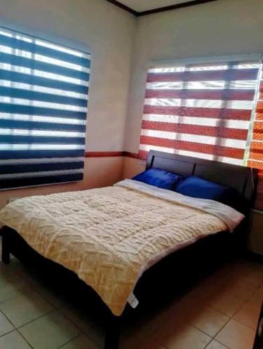 a bedroom with a bed with blue pillows and two windows at Trip Nest Rentals in Dauis