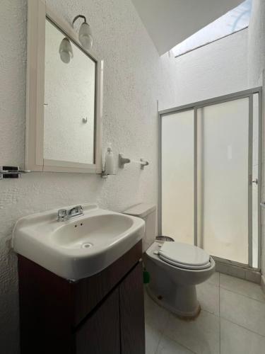a bathroom with a sink and a toilet and a mirror at Casa FLAMINGOS in Boca del Río