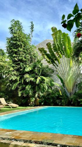 a blue swimming pool in front of some plants at Tropical Temple Siargao Resort in General Luna