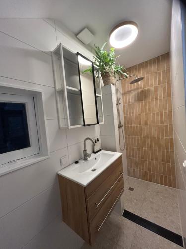 a bathroom with a sink and a mirror and a shower at Heiligeweg 48 in Harlingen