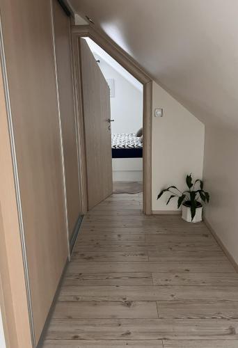 Снимка в галерията на Ana`s place в Целие