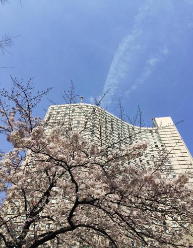 a tall building with a flowering tree in front of it at Hilton Tokyo Hotel in Tokyo