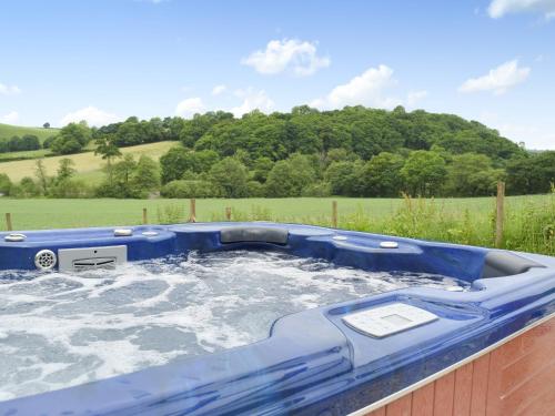 a jacuzziificialificialificialificialificialificialificialificialificialificialificial at Upper Mill Barn in Nantgaredig