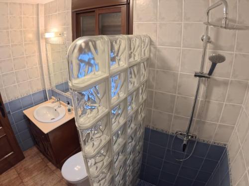 a bathroom with a shower and a toilet and a sink at El Bosque Nomada 4 in El Bosque