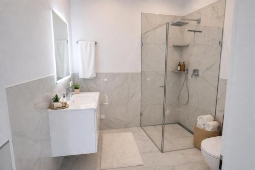 a bathroom with a shower and a sink and a toilet at Apartment im schönen Taunus in Dickschied