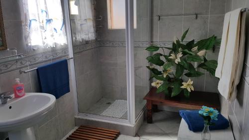 a bathroom with a shower and a toilet and a sink at Westcoast Central Budget accommodation in Vredenburg